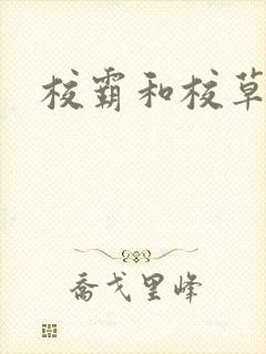 校霸和校草封面