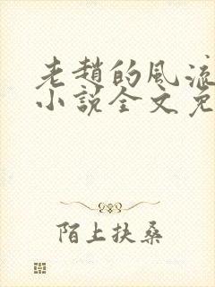 老赵的风流人生小说全文免费阅读封面