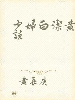 少妇白洁黄色小说