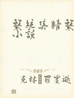 系统集精系统 小说