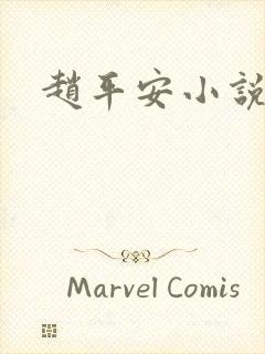 赵平安小说主角