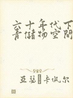 六十年代下乡知青储物空间