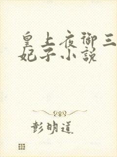 皇上夜御三四个妃子小说