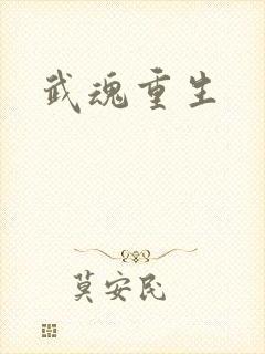 武魂重生封面