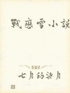 战恋雪小说封面