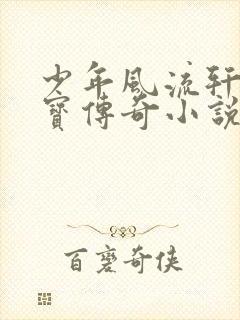 少年风流轩辕大宝传奇小说