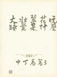 大壮翠花晚上不睡觉是什么电视剧封面