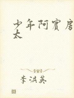 少年阿宾房东太太