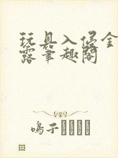 玩具入侵金银花露笔趣阁