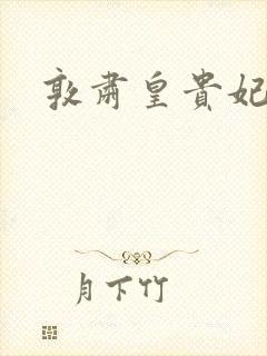 敦肃皇贵妃封面