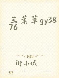 三叶草gy3876封面