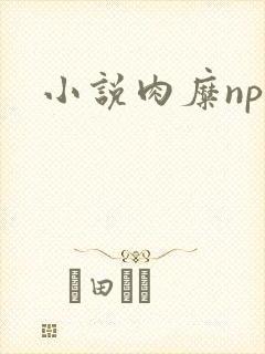 小说肉糜np