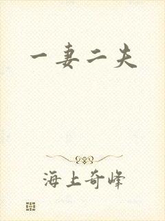 一妻二夫封面