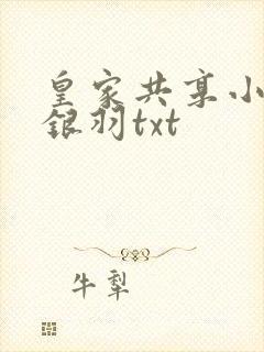 皇家共享小公主银羽txt