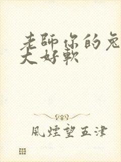 老师你的兔子好大好软