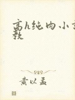 高h纯肉小说调教