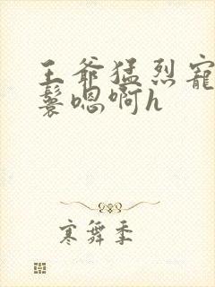 王爷猛烈宠幸丫鬟嗯啊h