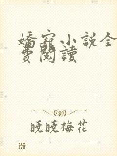 娇宠小说全文免费阅读封面