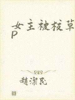 女主被校草们NP
