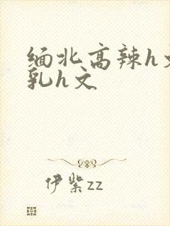 缅北高辣h文乱乳h文