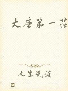 大唐第一庄