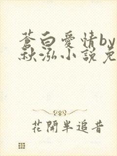 苍白爱情by三秋泓小说免费阅读笔趣阁