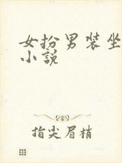 女扮男装坐江山小说封面