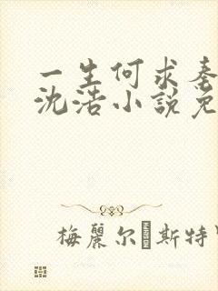 一生何求秦菲雪沈浩小说免费阅读全文