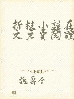 折枝小说在线全文免费阅读无弹窗