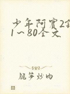 少年阿宾2钰慧1～80全文封面