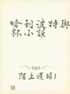 哈利波特与火焰杯小说封面