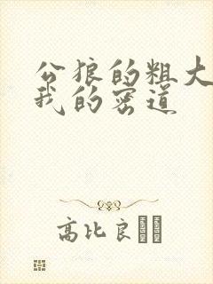 公狼的粗大挺进我的密道