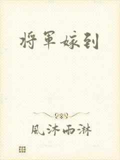 将军嫁到