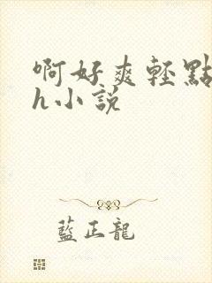 啊好爽轻点啊嗯h小说