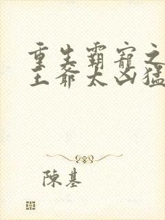 重生霸宠之摄政王爷太凶猛