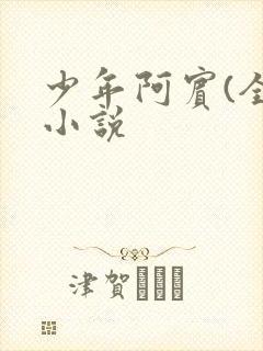 少年阿宾(全)小说封面