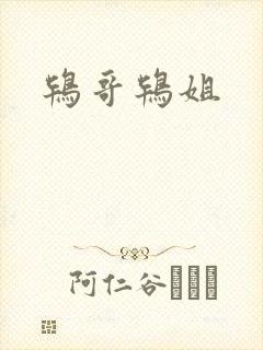 鸨哥鸨姐封面
