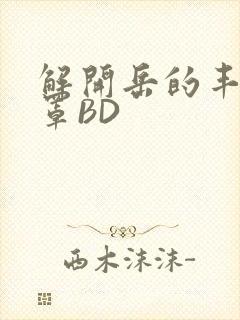 解开岳的丰满奶罩BD封面