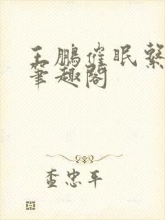 王鹏催眠系列新笔趣阁