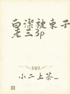 白洁被东子老二老三3p
