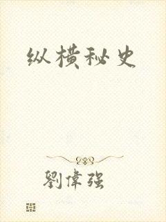 纵横秘史封面