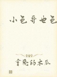 小色哥也色封面