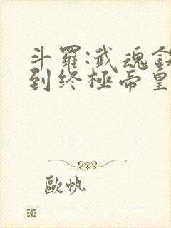 斗罗:武魂铁块到终极帝皇铠甲