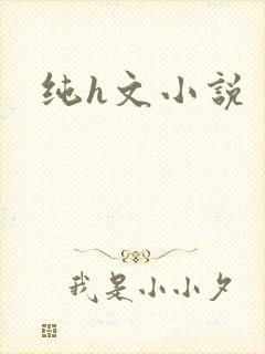 纯h文小说封面