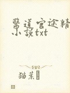 医道官途精校版小说txt封面