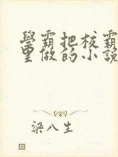 学霸把校霸往死里做的小说封面