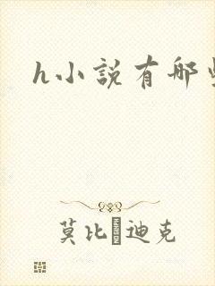 h小说有哪些封面