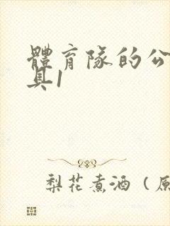 体育队的公用玩具1