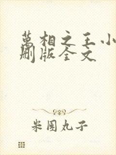 万相之王小说未删版全文