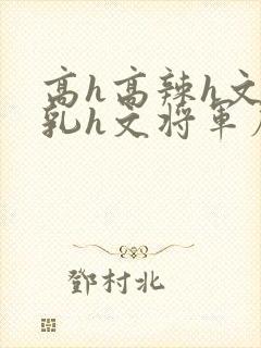 高h高辣h文乱乳h文将军府